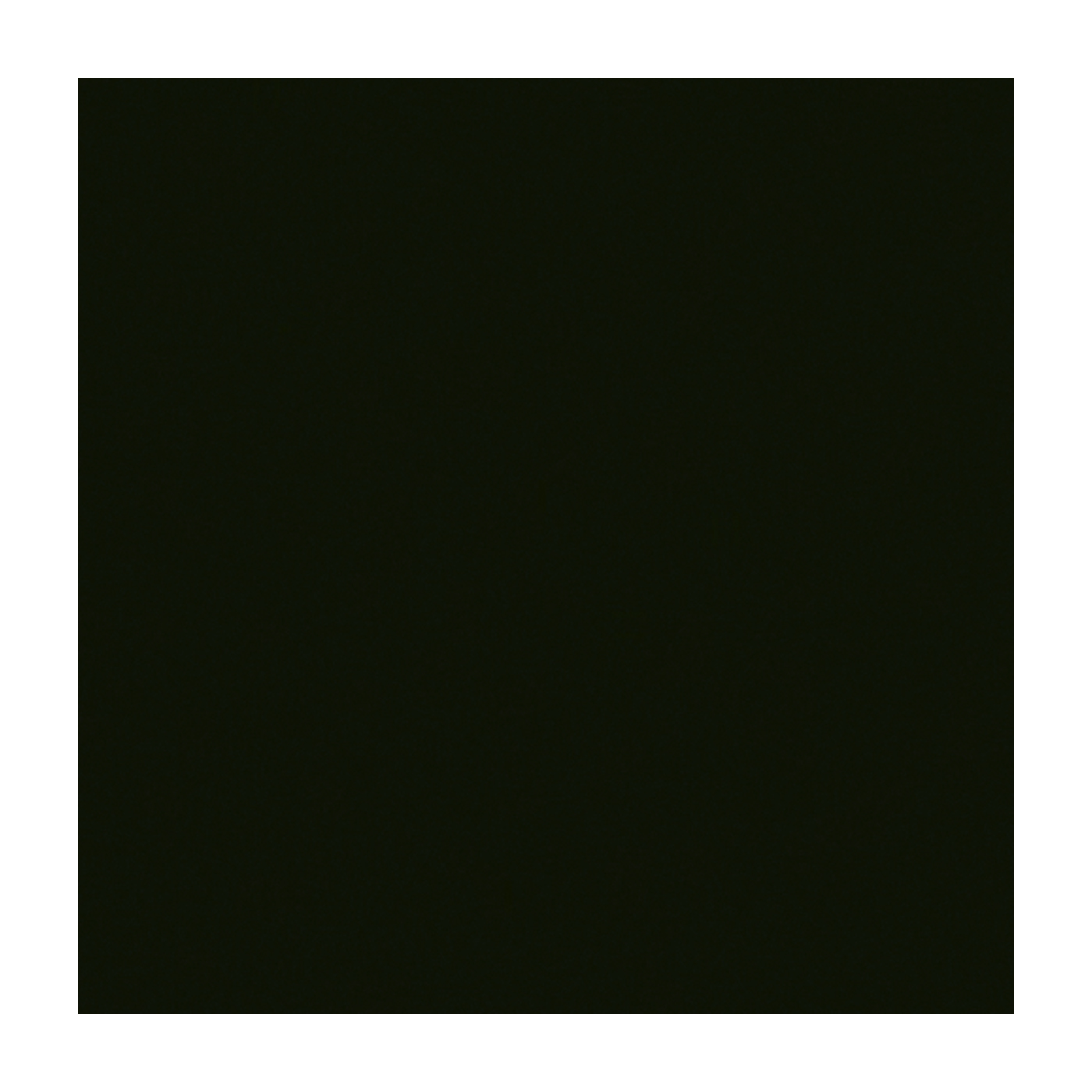 Efcolor Farbschmelzpulver, opak, schwarz - 25 ml